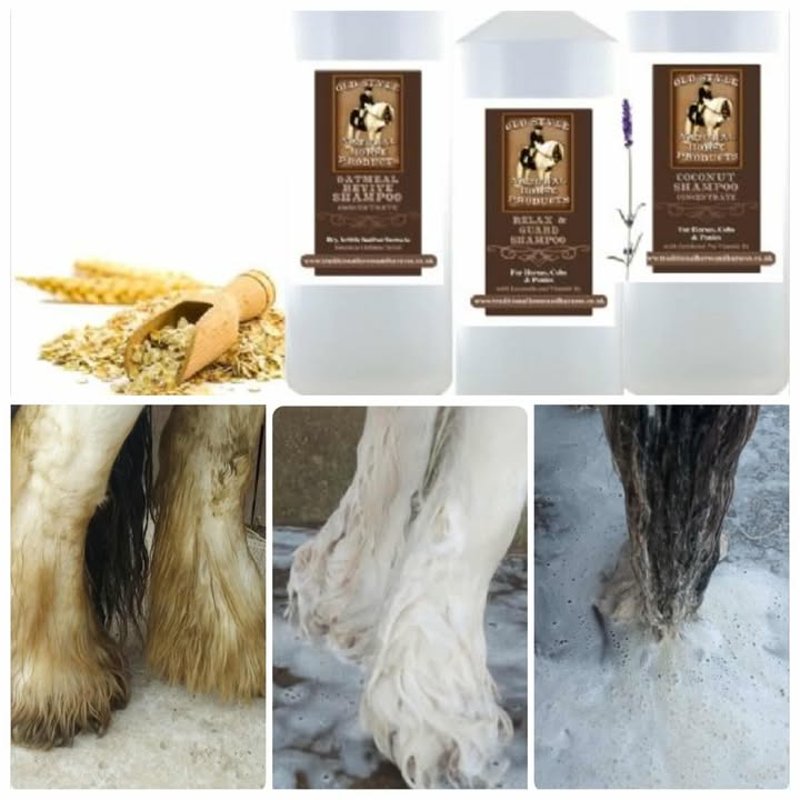 Mitey Feathers Spray & Shampoo Duo (4 options)