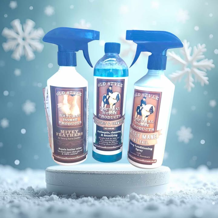 Winter Trio